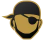 A Anonymous Pirate representing privacy