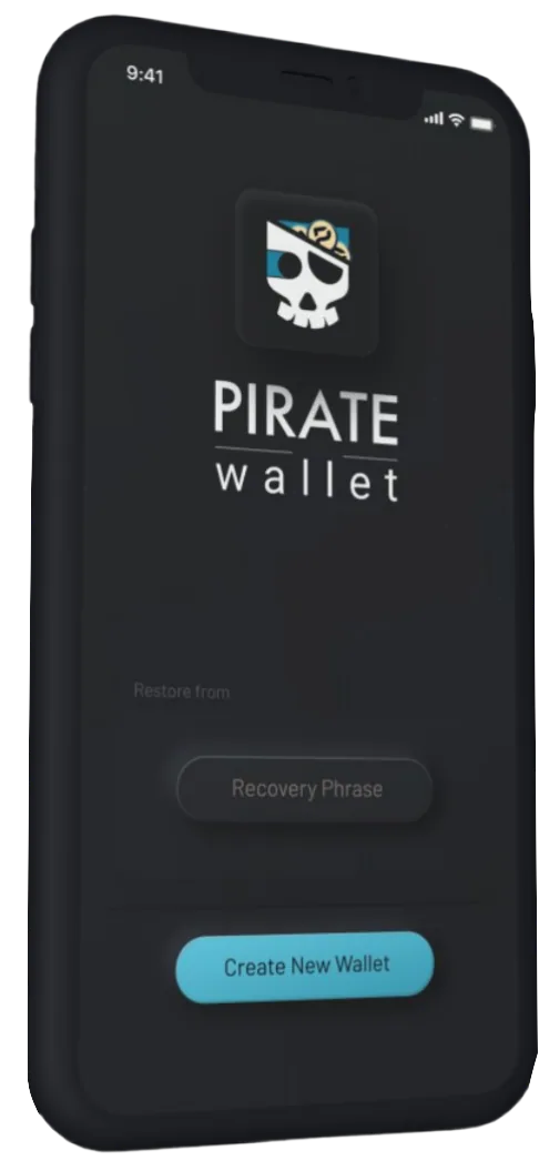 Third Phone Showing the Pirate Mobile Wallet